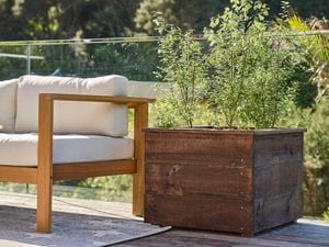 A wooden planter box with green plants next to an outdoor sofa on a deck.