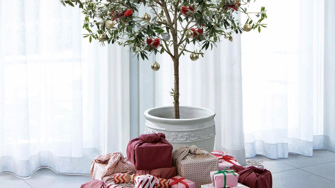 Tree with red and white presents under the potted Christmas tree