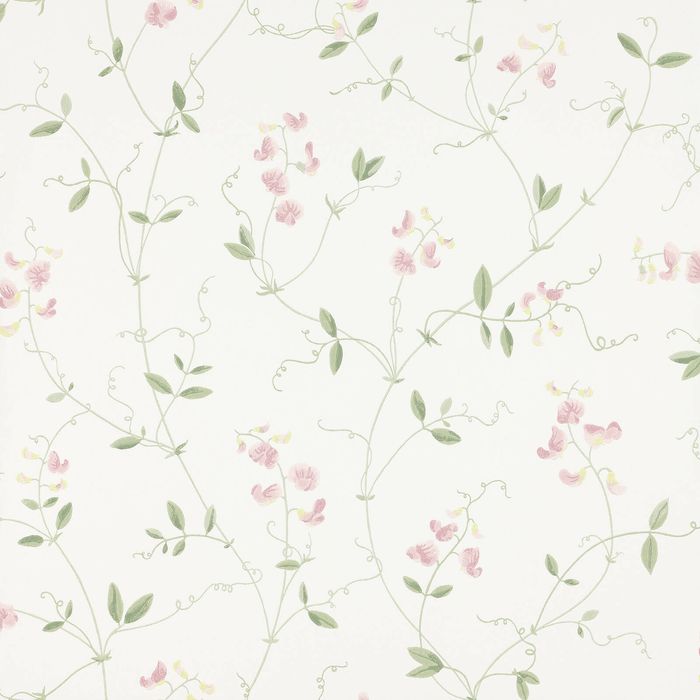 Wallpaper Trader Sanna Sweet Pea Wallpaper Roll 10.05m x 53cm, Light Pink