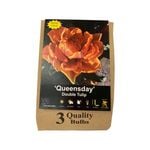 Yarra Valley Bulbs Tulip Queensday Bulbs - 3 Pack