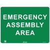 Pinnacle 400 x 300mm Poly Emergency Assembly Area Sign 