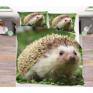 3D Cute Animal Hedgehog 41 Bed Pillowcases Quilt King Size