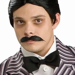 Gomez Wig and Moustache Set for Adults, The Addams Family Halloween Costume Accessory, ADULT