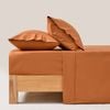 Dreamaker 250tc Cotton & Recycled Polyester Blend Sheet Set Rust Double Bed