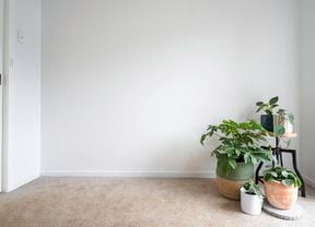 Room with plants in pots on the ground and on a stand