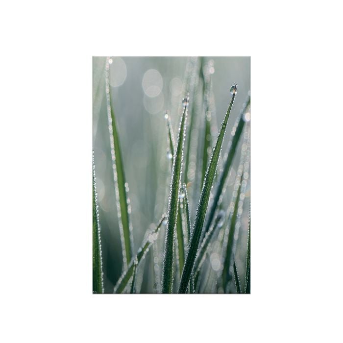 Bellessi 730 x 895 x 5mm Morning Dew Motiv Glass Filler Panel