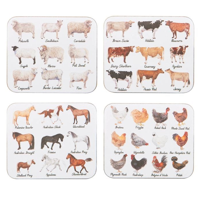 Ashdene Best Breed Set Of 4 Coasters