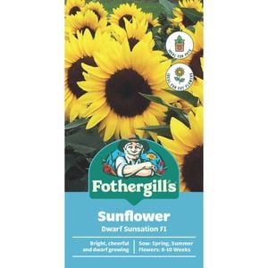 Fothergill's Sunflower Dwarf Sunsation Flower Seeds