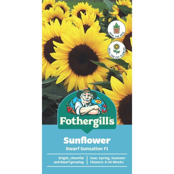 Fothergill's Sunflower Dwarf Sunsation Flower Seeds