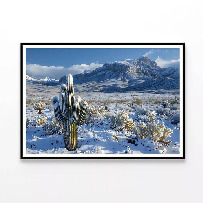 Cactus, Sky and Mountain  Print 100% Australian Made 120x90cm  (Poster)