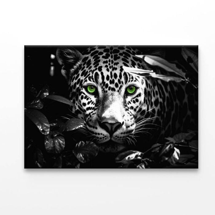 Close-Up Exotic Forest Animal   Print 100% Australian Made 150 x 100cm  (Acrylic)