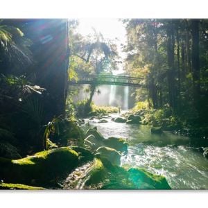 Misty Dark Dense Bush Lining River  Print 100% Australian Made 120 x 90cm  (Stretched)