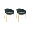 HomeStar Set of 2 Lex Velvet Fabric Dining Chair Gold Frame - Green