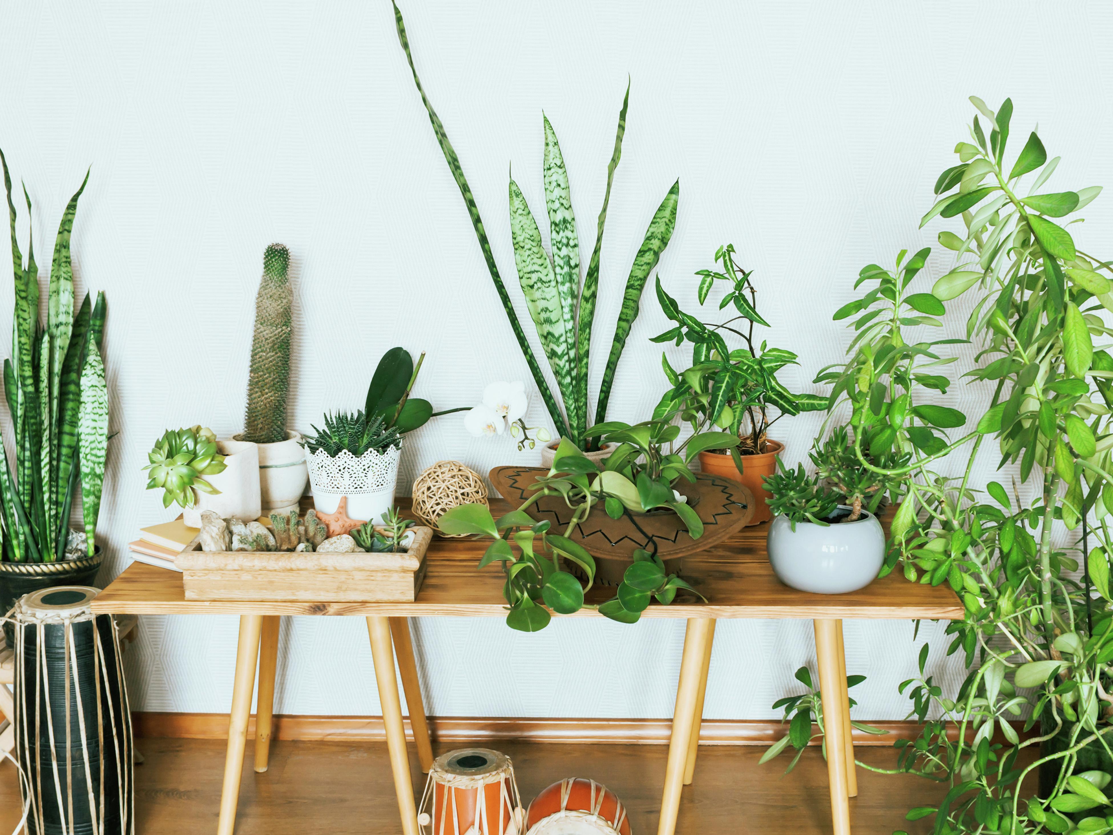 Plant light bunnings hotsell