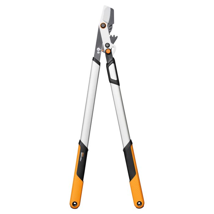 Fiskars Dual Action Lopper