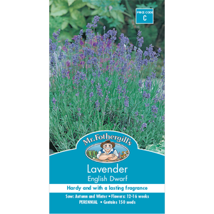 Mr Fothergill's Lavender English Dwarf Seeds