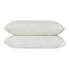 Accessorize Bamboo Blend Memory Foam Pillow - 2 Pack