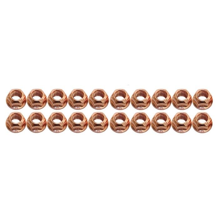 20 Pcs M10 X 1.25mm High Tensile Copper Nut Set