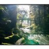Misty Dark Dense Bush Lining River  Print 100% Australian Made 90x60cm  (Poster)