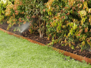 A nice garden with a water sprinkler.