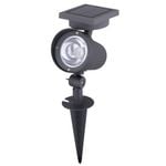 Arlec 30 Lumens LED Garden Spot Solar Light