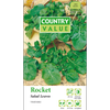 Country Value Rocket Salad Leaves Vegetable Seeds