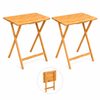 Laptop Dinner Table - Bamboo Folding Tray & Snack Table - 2PK