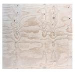 Ecoply 2400 x 1200mm 9mm Plywood Pine Structural CD Grade