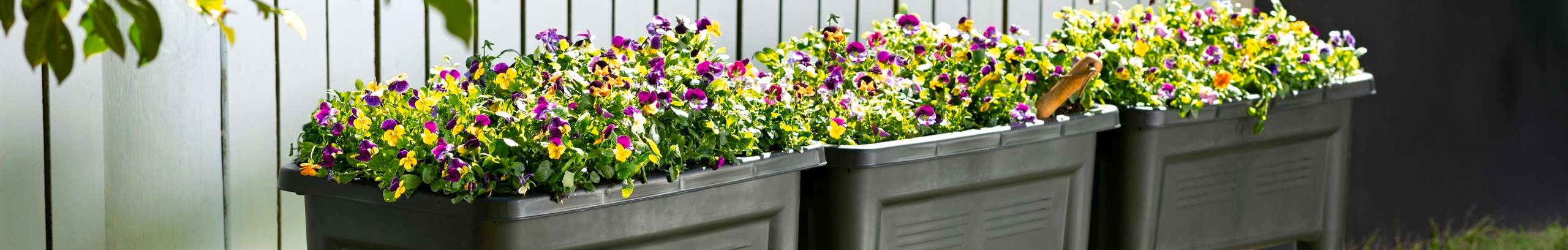 Flower beds in backyard
