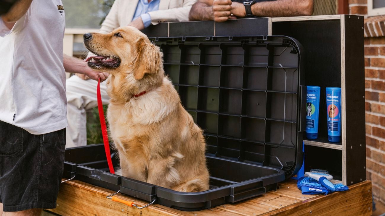 A golden retriever sits inside an open black wash tub on a raised wooden dog-wash station while being held on a leash, with grooming products visible on nearby shelves.