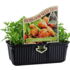 Punnet Carrot Paris Market - Daucus carota