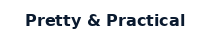Pretty and Practical Pty Ltd