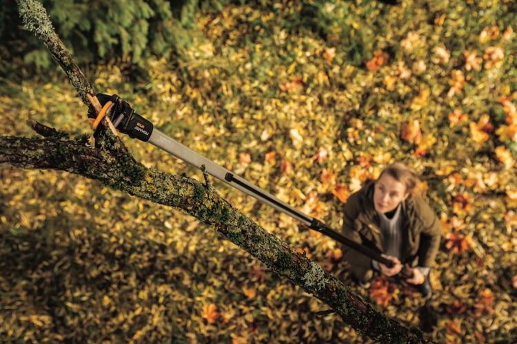 Woman removing a tree branch with a tree pruner