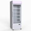 Thermaster 400l Upright Single Glass Door Freezer -  - Display Freezers (lg-400pf)