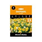 Bloomin' Bulbs Daffodil Mixed - Narcissus - 23 Pack
