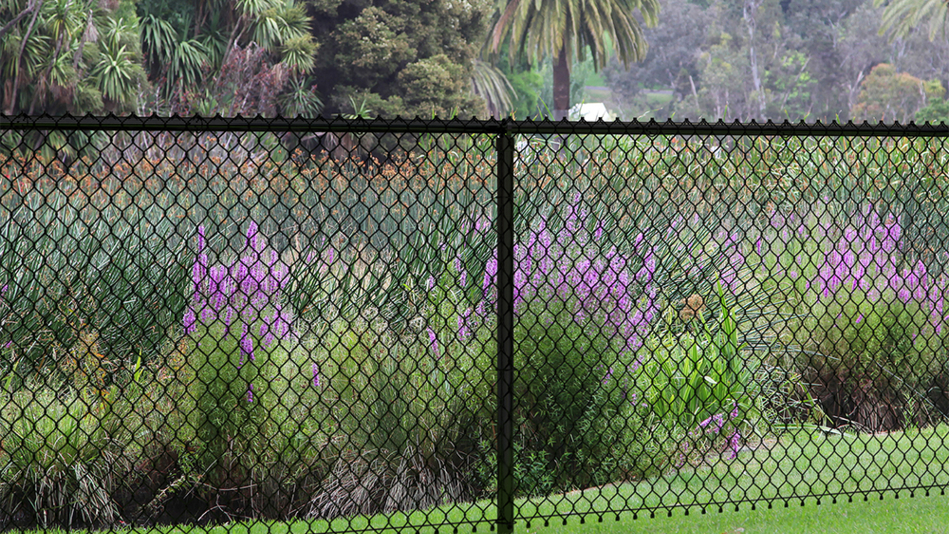 PEAK Chain Link Fencing - Bunnings Australia