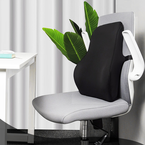 GOMINIMO
  Memory Foam Lumbar Support Pillow. I/N: 0632025