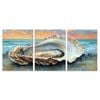 3pcs Abstract Oyster Coastal Summer  Print 100% Australian Made 3 x 40x60cm (Metal Print)