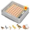 Advwin 36 Eggs Incubator with Egg Candler Automatic Egg Turning