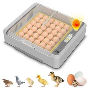 Advwin 36 Eggs Incubator with Egg Candler Automatic Egg Turning