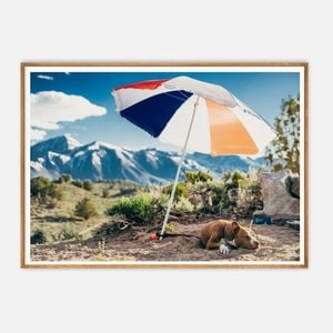 Galrie Mammoth Lakes Hot Dog Art Photography Print, Wood Frame, A1 60 x 84cm (23 x 33inch)