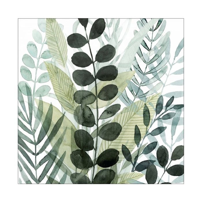 Artey | Forest Forage III - Stretched Canvas - Stretched Canvas - 50 x 50cm