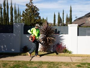 A landscaper wearing high‑visibility clothing uses a leaf blower to clear grass clippings and debris from a path beside a residential garden.
