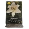 Yarra Valley Bulbs Lilium Eyeliner - 3 Pack