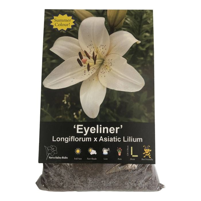 Yarra Valley Bulbs Lilium Eyeliner - 3 Pack