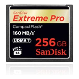 Sandisk Extremepro 256gb Compact Flash [sdcfxps-256g-x46]