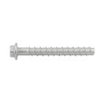 Ramset 10 x 100mm Galvanised AnkaScrew Masonry Anchor