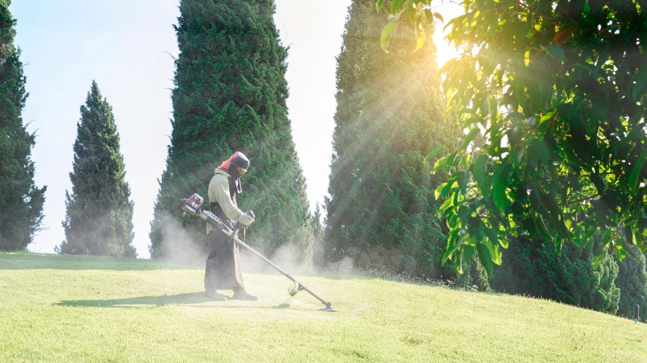 park area with person with garden tools