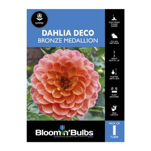 Bloomin Bulbs Dahlia Bronze Medallion - 1 Pack