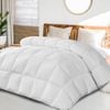 Dreamz 250GSM Microfiber Siliconized Fiber Quilt King